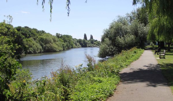 protecting environment